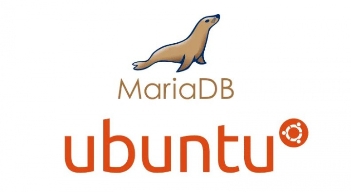 Ubuntu 20.04 LTS: Aprenda a instalar o gestor de base de dados MariaDB