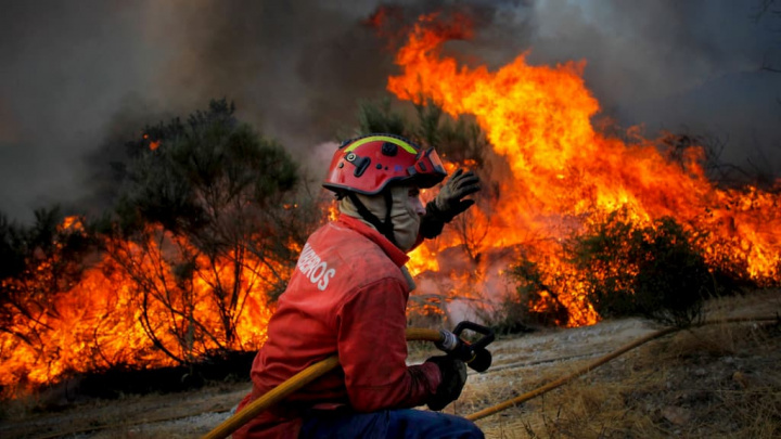 fogos.online: Veja, em tempo real, que fogos há em Portugal  