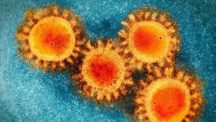 Ilustração mutação novo coronavírus