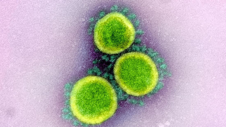 Imagem novo coronavírus