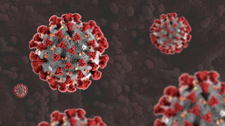 CV30: the powerful antibody that fights the coronavirus