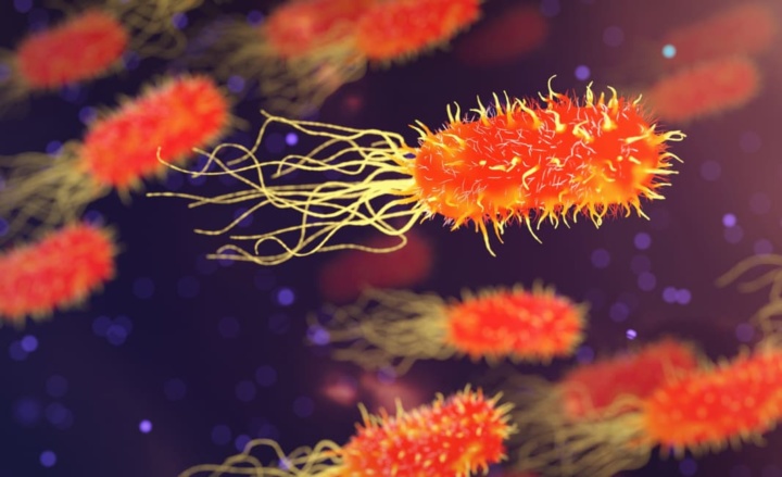 Estudo: Foram cientistas chineses que criaram o novo coronavírus