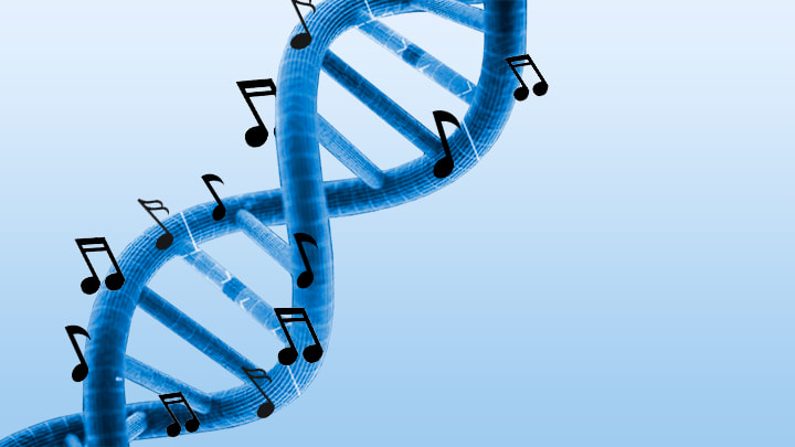 Genoma musical