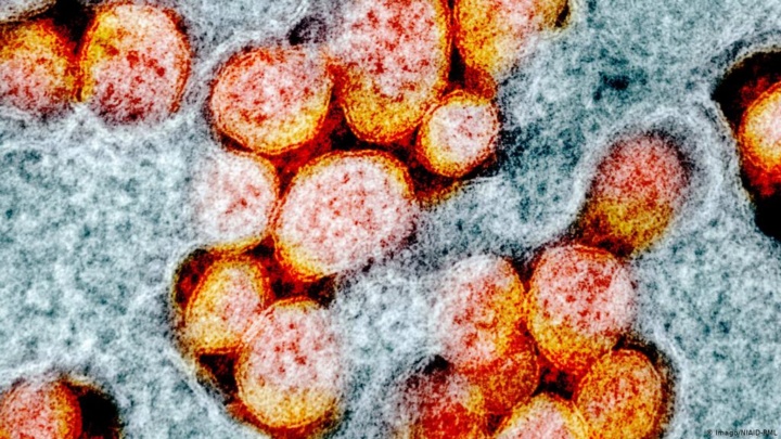 Coronavírus: Mutações revelam que não se tornou mais contagioso