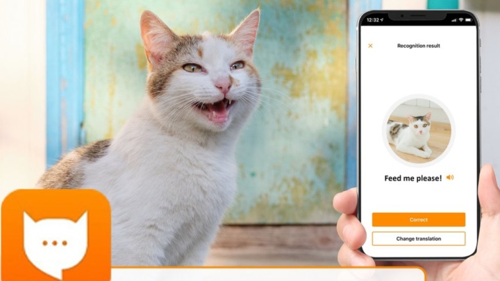 MeowTalk: A app que permite comunicar com o seu gato