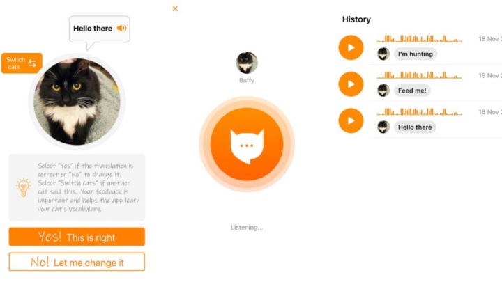 MeowTalk: O aplicativo que permite que você se comunique com seu gato