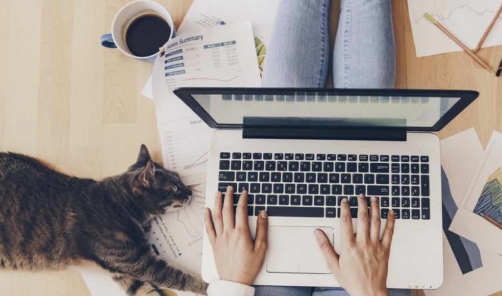 COVID-19: Recusar teletrabalho terá de ser feito por escrito