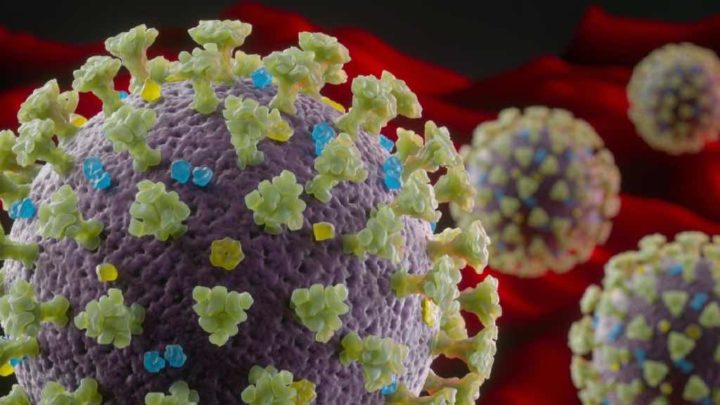 COVID-19: Nova mutação do vírus está a colocar o mundo em alerta