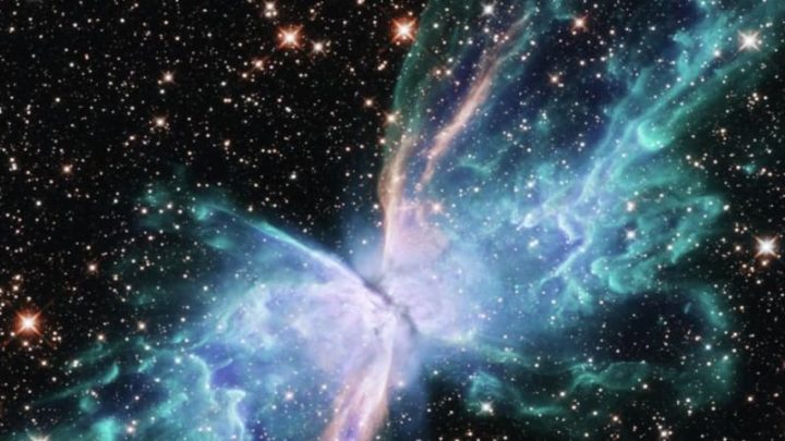 Nebulosa Borboleta