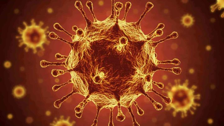 COVID-19: Há 3 novas variantes do vírus a circular em Portugal