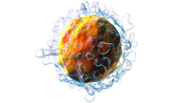 Ilustração de células B na resposta imunitária à COVID-19