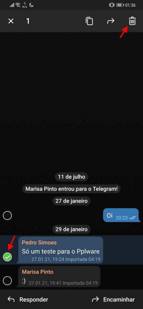 Telegram eliminar mensagens enviadas contato