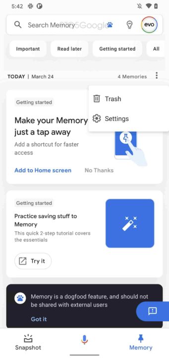 Google Assistant Memória