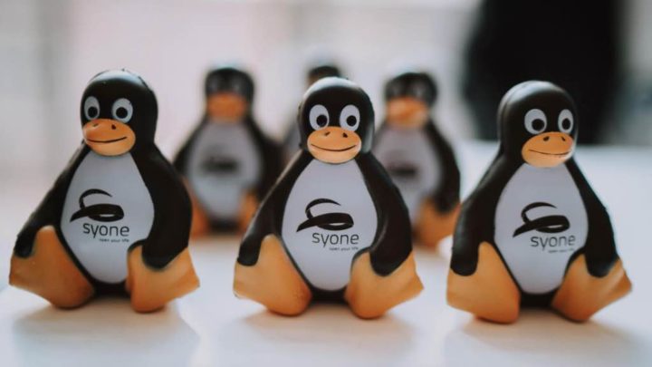 Syone: empresa de soluções Open Source faturou 11,8M euros em 2021