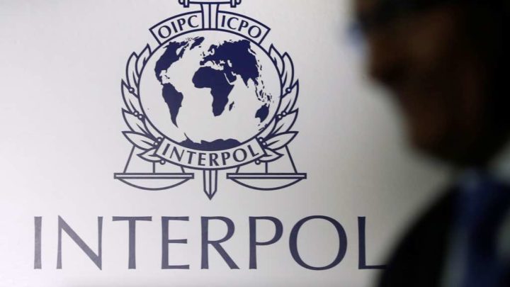 Interpol deteve 585 pessoas acusadas de fraudes através da internet
