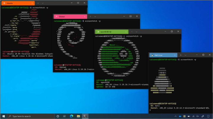 Linux Interface gráfica Windows 10 Microsoft