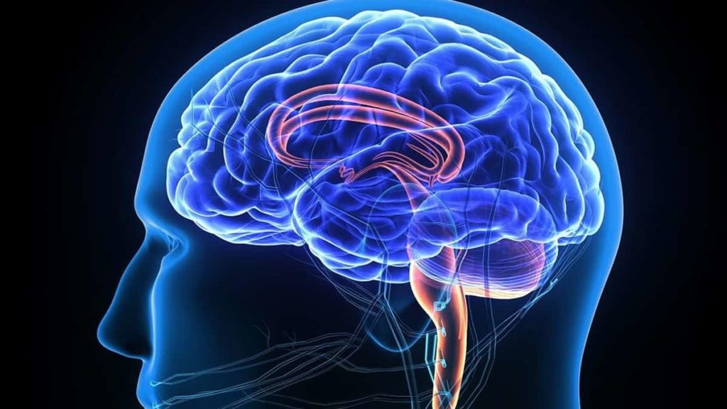 Implante cerebral deteta e elimina a dor em tempo real