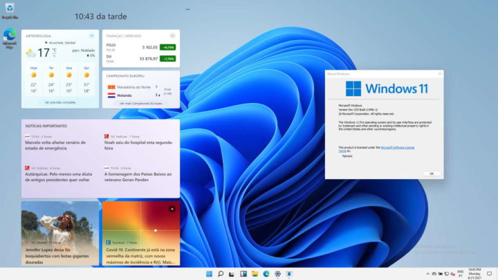 Windows 11 Microsoft widgets informação interface