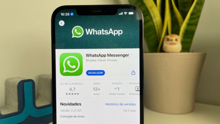 WhatsApp iPhone falhas problema app