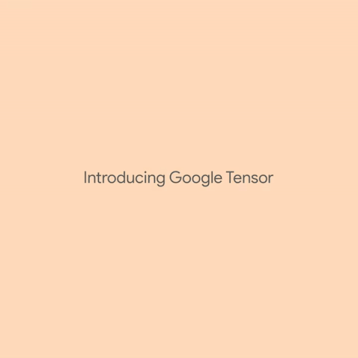Pixel 6 Pro Google Tensor
