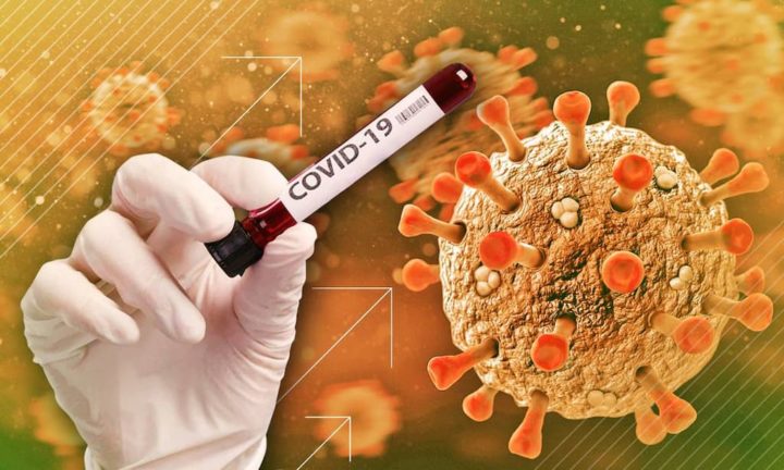 Covid-19: Wissenschaftler entdecken, wie man die Infektion anderer Zellen verhindern kann