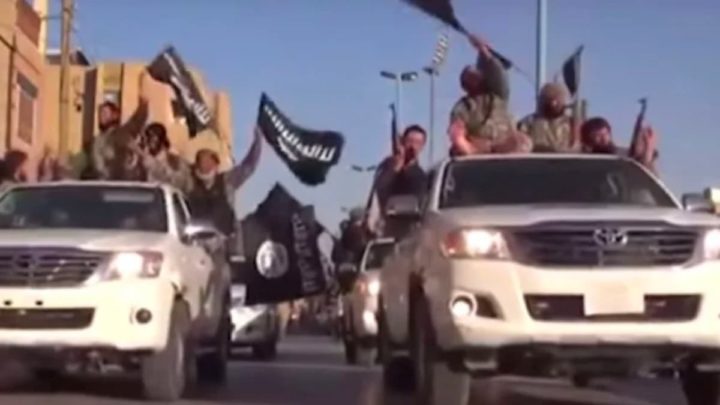 Imagem ISIS com pick-ups Toyota novas