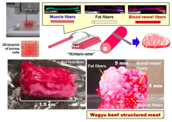 Imagem do processo de impressão 3D da carne wagyu
