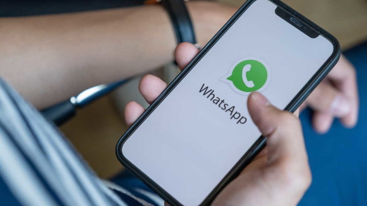 WhatsApp ficheiros partilhado tempo