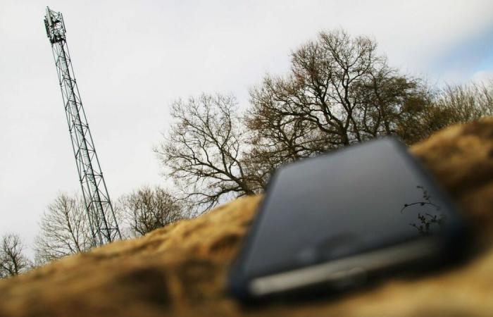 Portugal: 60% dos telemóveis vendidos têm 5G... mas poucos usam