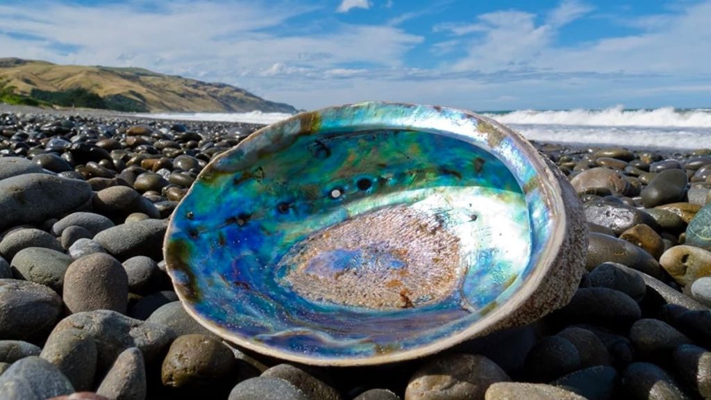 Natureza inspira a ciência no desenvolvimento de um  novo “vidro inquebrável”