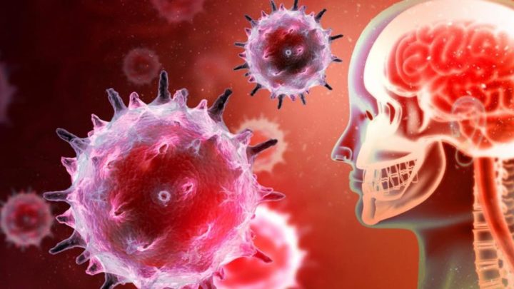 COVID-19: Cientistas descobrem como evitar que se infetem outras células