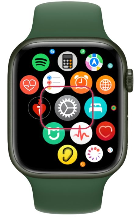 Configurações de imagem do Apple Watch