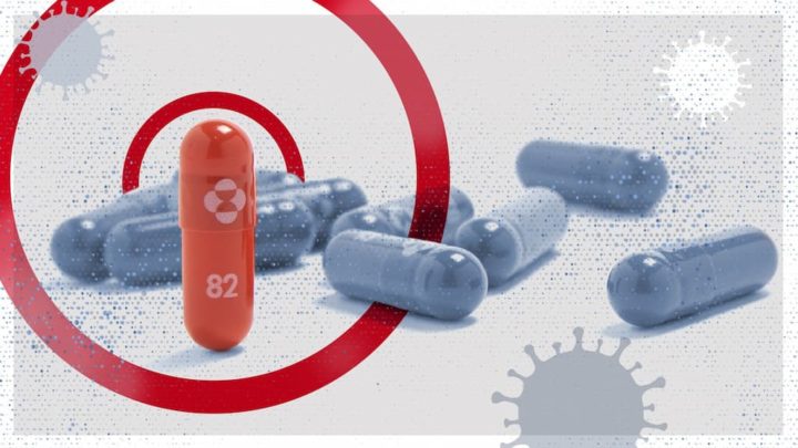 COVID-19: Medicamento molnupiravir elimina o vírus ativo em três dias