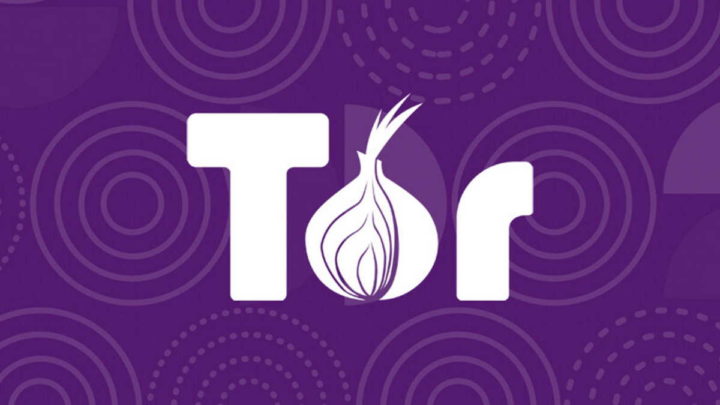 Tor pontes anonimato servidores Projeto