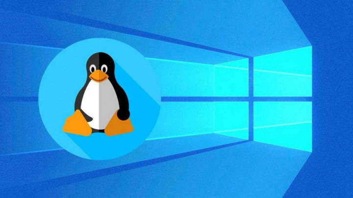 Linux Windows 11 WSL apps pacotes