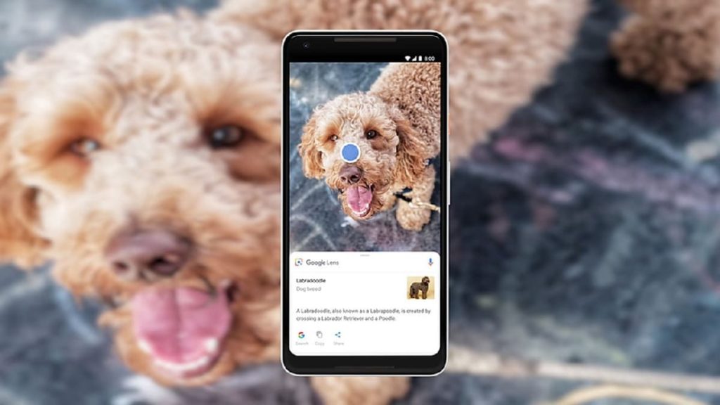 Conheça 7 aplicações para identificar qualquer coisa usando a câmara do seu smartphone