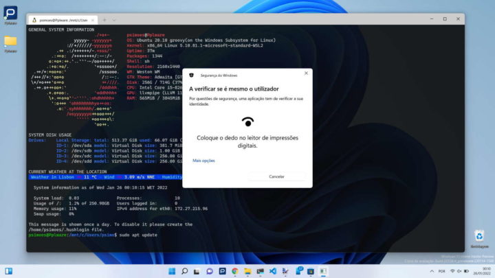 Windows 11 Linux Hello WSL autenticar