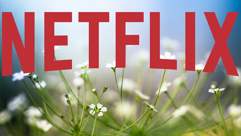 Quais os filmes e séries que irão lançar na Netflix em julho de
