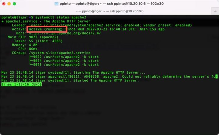 Ubuntu Server: Aprenda a instalar um servidor Apache para alojar sites