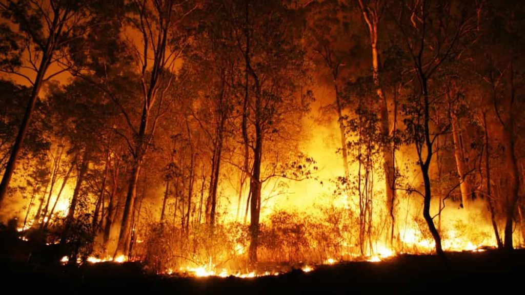 Proteção Civil lança alerta por causa do tempo quente e seco