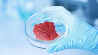 Carne desenvolvida em laboratório