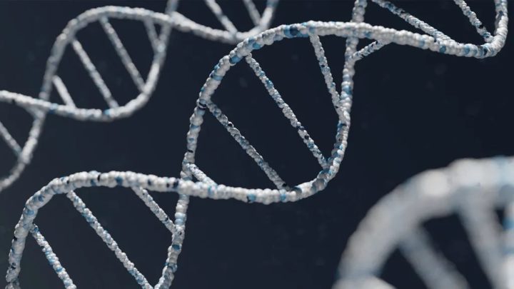 Incrível: Publicada primeira sequência completa do genoma humano