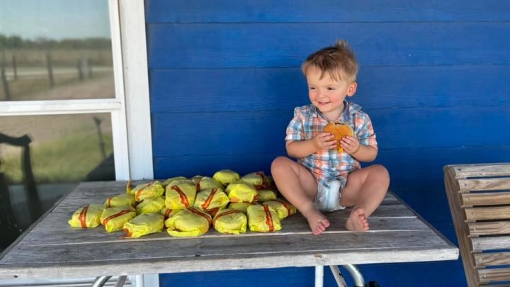 Imagem da criança que usou o iPhone da mãe para comprar 31 cheeseburgers do McDonald's