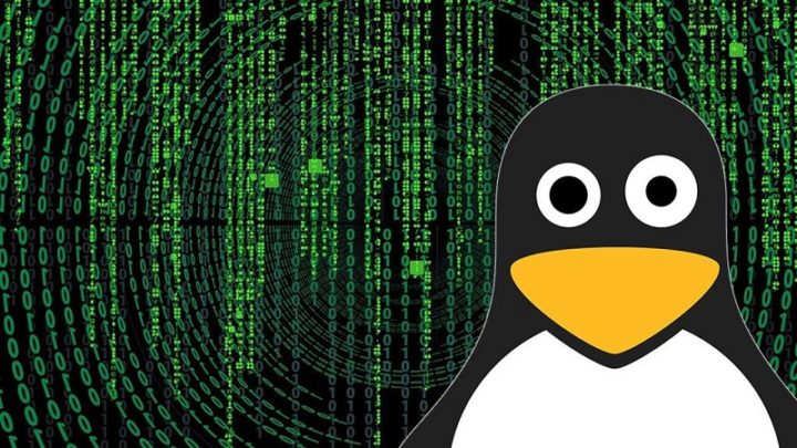 TOP 5 distribuições Linux mais populares em dezembro de 2023