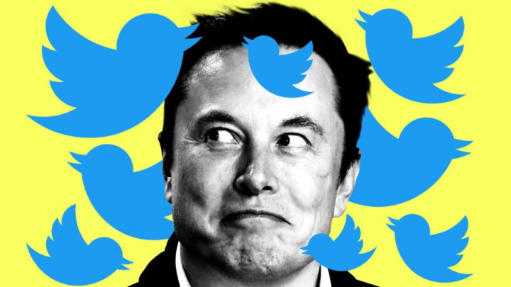 Twitter Elon Musk contas falsas robots