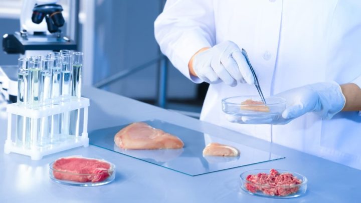 Carne de laboratório