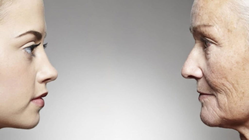 Possibilidade de reverter o envelhecimento humano está agora mais perto