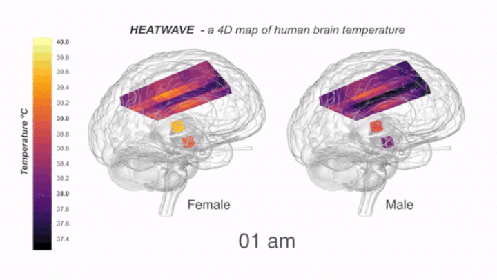 Variações da temperatura do cérebro