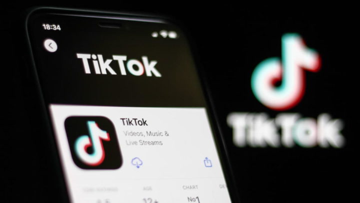TikTok browser javascript registar rede