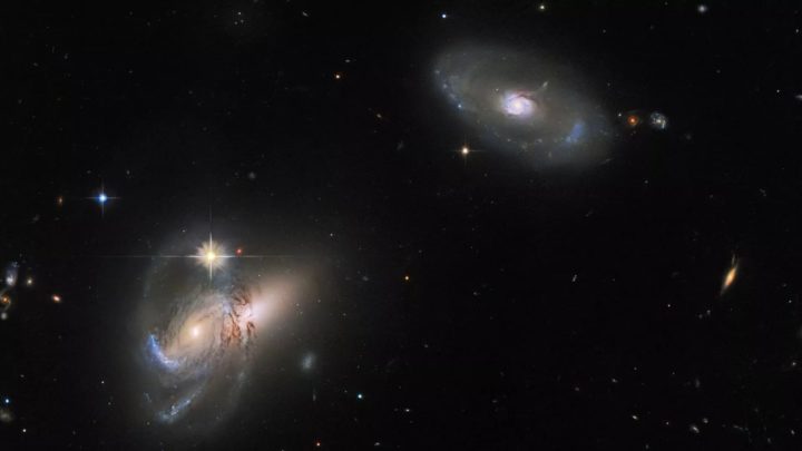 The Hubble image of galactic diversity